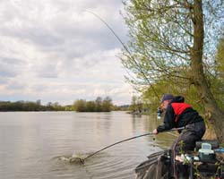 BM Lee 12lb Carp 250.jpg